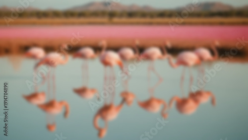 Wallpaper Mural Blurred background of Flamingos standing in shallow reflective lagoon, detailed pink feather texture with mirrored reflections in water, expansive safari wetland environment, late afternoon, warm. Torontodigital.ca