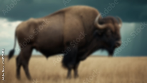 Wallpaper Mural Blurred background of African buffalo standing firmly with powerful muscular build, detailed curved horns and textured dark fur, wide open grassland with storm clouds forming in distance, late. Torontodigital.ca