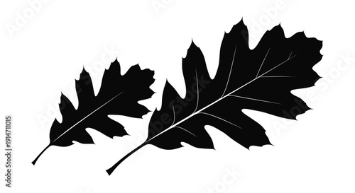 Two oak leaves presented in a stark black and white silhouette