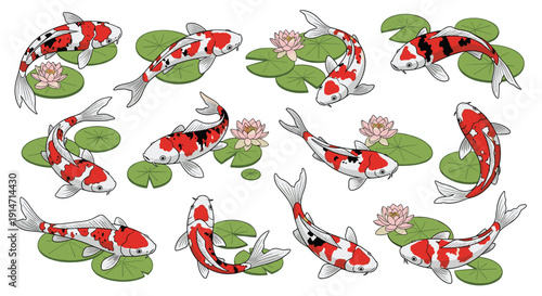 Elegant koi fish swimming gracefully among green lily pads and pink lotus flowers on a clean white decorative background.