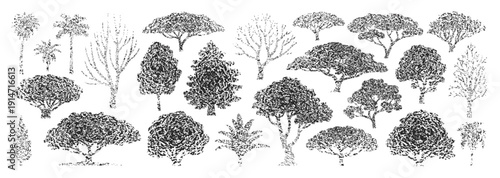 Large set of black hand drawn textured tree silhouettes including oak pine palm and various deciduous species for nature landscapes.