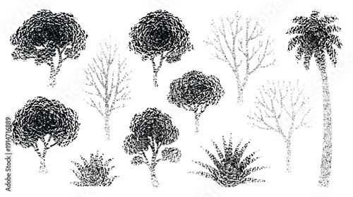 Set of black textured tree silhouettes featuring oak palm and pine trees along with bushes and shrubs for nature landscapes.