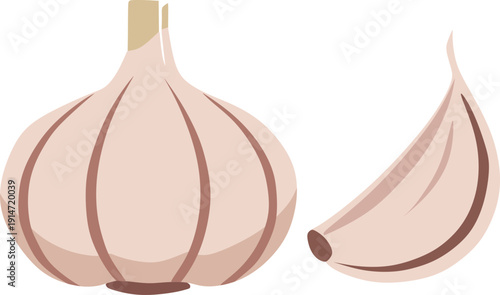 Garlic Clove Flat Vector Illustration