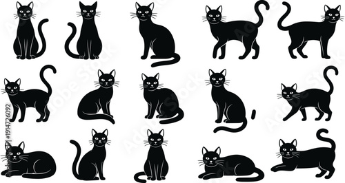 Black cat silhouettes collection, domestic feline characters in various poses like sitting walking and lying, pet animal vector illustrations set.