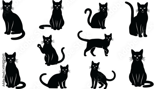 Black cat silhouette collection, domestic feline pets in various poses, standing sitting and walking kittens, mysterious animal character vector illustration,