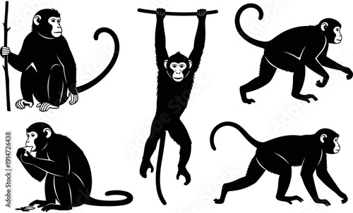 Monkey silhouettes collection featuring different poses like hanging, walking, and sitting, black vector animal icons isolated on a white background,