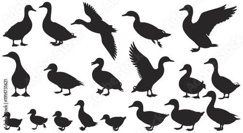 Duck and goose silhouette set, bird illustration collection, black and white avian design, flying and standing poses, wildlife animal icons, nature themed art