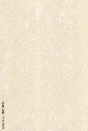 ベージュ色の和紙　繊維の模様入り