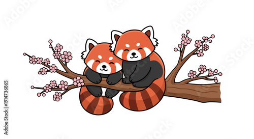 Two adorable red pandas sleeping peacefully together on a cherry blossom branch.