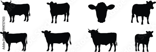 Cow and cattle silhouette set isolated on white background, black bovine livestock collection in multiple farm poses