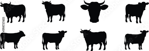 Cow silhouette set isolated on white background, black cattle farm animal collection with multiple standing poses