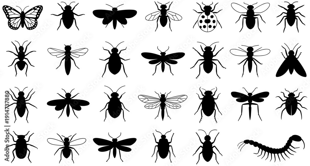 Fototapeta premium Insect silhouette icon set, entomology illustration, butterfly and beetle design, dragonfly and ant shapes, black and white arthropod art, biological classification symbols