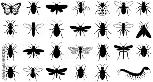Insect silhouette icon set, entomology illustration, butterfly and beetle design, dragonfly and ant shapes, black and white arthropod art, biological classification symbols