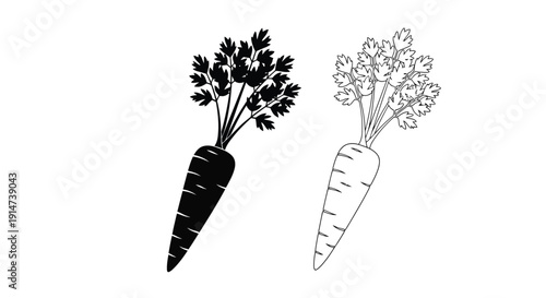 Two carrots with green tops presented in a black and white style
