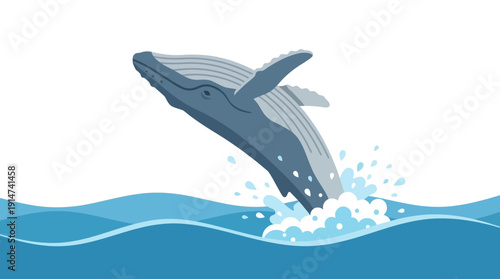 Humpback Whale Breaching Ocean Waves Dynamic Water Splash Marine Life d flat vector isolated white background