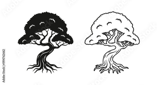 Two bonsai trees in black and white line art, minimalist plant illustration Vector
