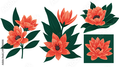 Collection of orange flowers with dark green leaves in various arrangements and a small square icon isolated on white.
