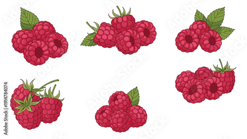 Six different groups and clusters of red raspberries with green leaves isolated on a plain white background design.
