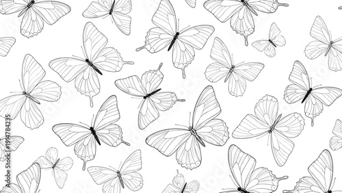 Seamless pattern with delicate hand drawn butterflies in various flying poses and sizes in black and white style.