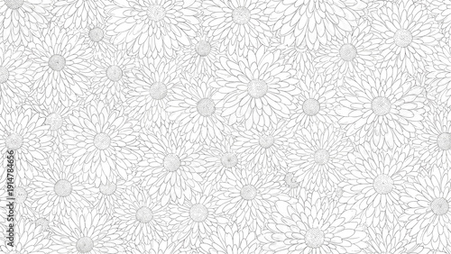 Dense seamless pattern of intricate black and white daisy line drawings covering the entire background design area.