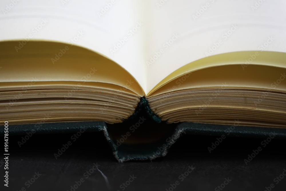 Fototapeta premium Open Book's Binding and Pages: Close-Up Shot for Study, Reading, and Literary Themes