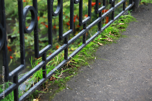 Fotografie Black Iron Fence by Pathway with Vibrant Greenery and Blossoms in Background
