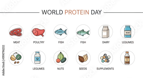 Infographic illustration highlighting various protein rich food groups on World Protein Day, promoting nutritional awareness and a balanced diet with icons for meat, poultry, fish, dairy,