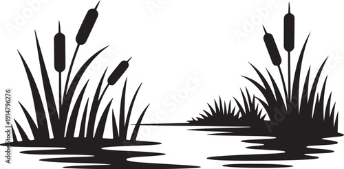 Black and white of cattails growing in water plants