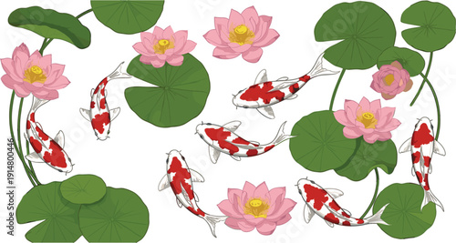 Koi Fish and Lotus Flower Illustration with Japanese Pond Elements for Asian Nature, Zen Garden, and Traditional Art Design Projects