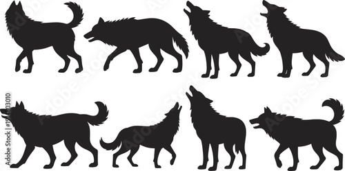 Black wolf silhouettes set featuring howling and prowling wild predators in various standing and walking poses isolated on white background for wildlife nature design