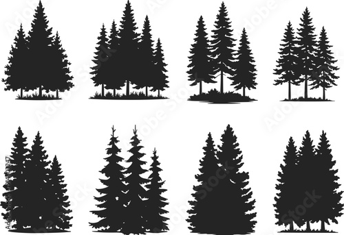 Set of Pine Tree Silhouettes and Coniferous Forest Elements Isolated on White Background for Winter Landscapes, Nature Graphics, Christmas Outdoors and Wilderness Vector Design