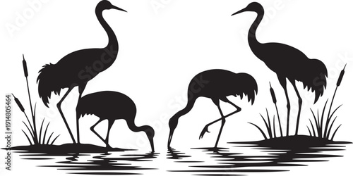 Black Silhouette of Cranes and Birds in Wetland Scene