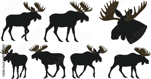 Black moose silhouette collection featuring bull elk with large antlers in various walking poses and head profile isolated on white background for vector design