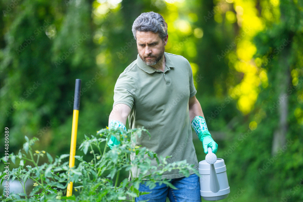 © Volodymyr - A gardener cultivates healthy plants. The gardener enjoys the garden. A man tends to his garden. The watering can helps plants grow. He stands in lush foliage. Gardening is his hobby.