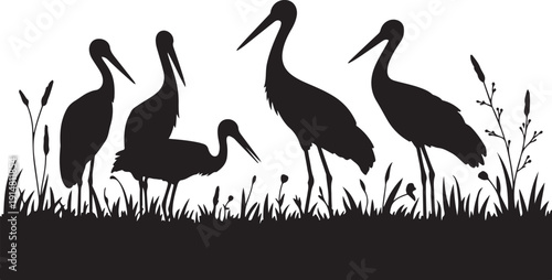 Four Black Silhouette Birds Standing in Grass