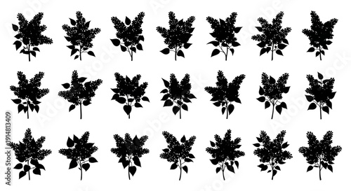 Set of black floral silhouettes on white background decorative leaf patterns botanical designs elegant floral motifs