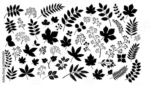 Various black and white leaves and flowers are illustrated