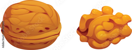 Cartoon raw ripe whole walnut with shell and a separate nut kernel. Isolated vector healthy snack rich in fats and nutrients. Plant based food, seed ingredient, vegan snack , vegetarian ingredient