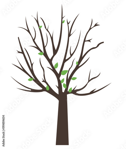 Barren Tree Vector Image  
