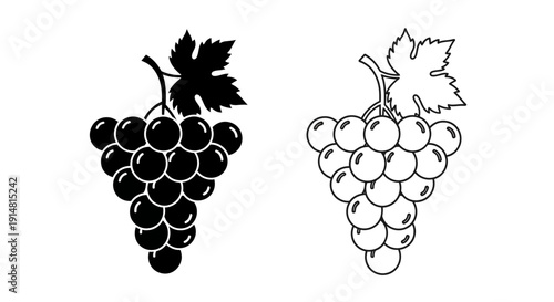 Black and white grape illustration, vector art, fruit drawing, vine drawing Vector