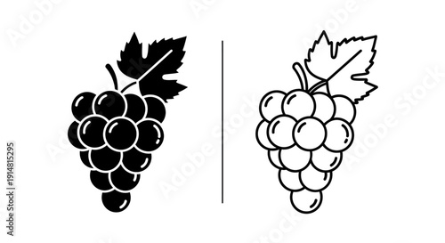 Black and white illustration of grapes, fruit, vine, grapevine, healthy, fresh, nature, drawing Vector