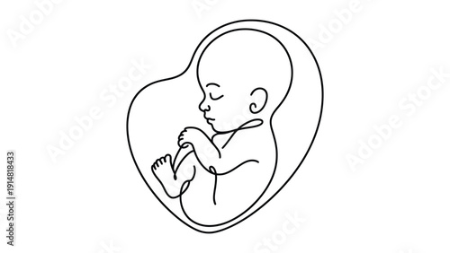  minimal line art illustration of unborn baby in womb symbolizing pregnancy, prenatal development, motherhood, healthcare and maternity concept isolated on white background