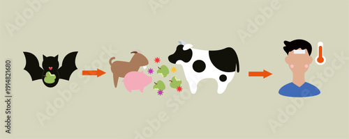 Vector illustration explaining Nipah virus transmission from bats to fruits, livestock such as cow, pig, and goat, and then to humans, highlighting zoonotic disease spread and public health risk.