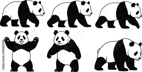 Set of giant panda vector illustrations in different poses including walking and standing, cute wildlife animal characters, black and white.