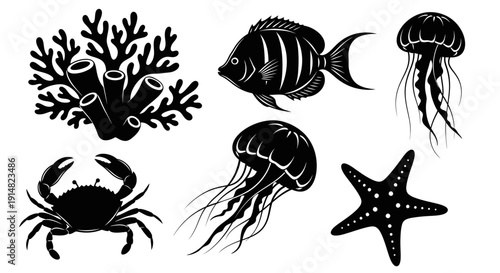 Black and white illustration of marine life featuring a crab, fish, jellyfish, coral, and starfish in a simple graphic style