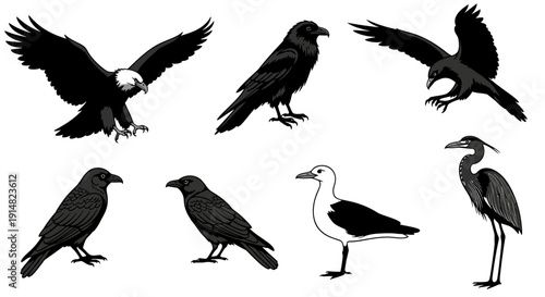 Collection of various bird species in different poses and flight, showcasing diverse avian characteristics in a simple illustration style