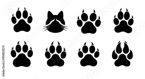 Collection of animal paw prints and cat face silhouettes on a plain background viewed from directly above.