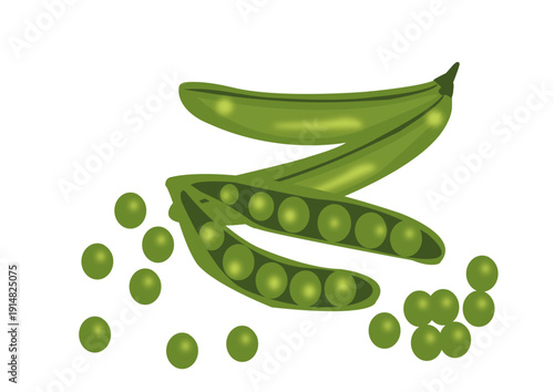 Green Pea Pod Vector Illustration
