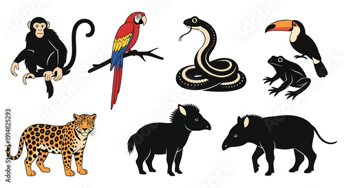 A collection of various wild animals including a monkey, parrot, snake, toucan, frog, leopard, and cattle depicted in illustrations.