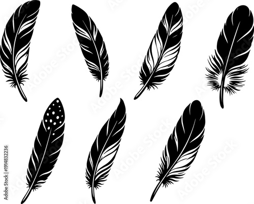 Collection of various feather designs in black and white style